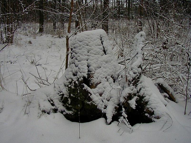 Selgise m�gedes 2005