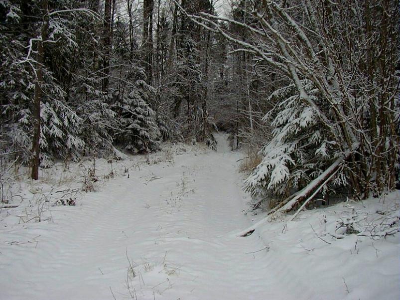 Selgise m�gedes 2005