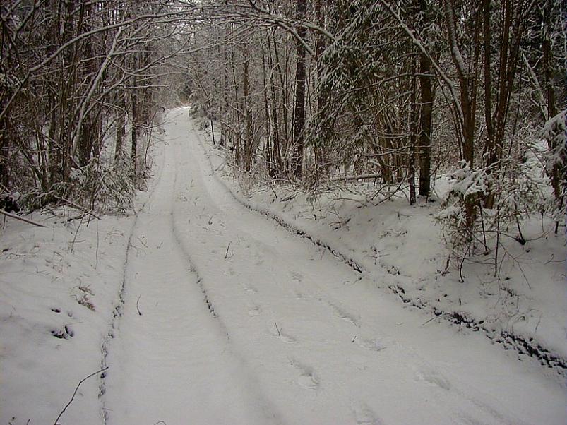 Selgise m�gedes 2005