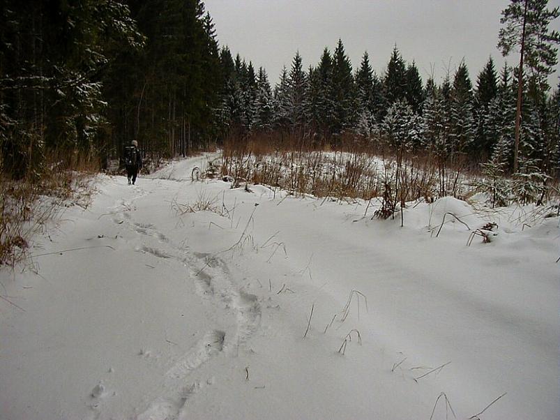 Selgise m�gedes 2005