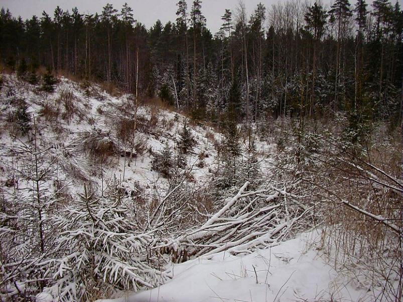 Selgise m�gedes 2005