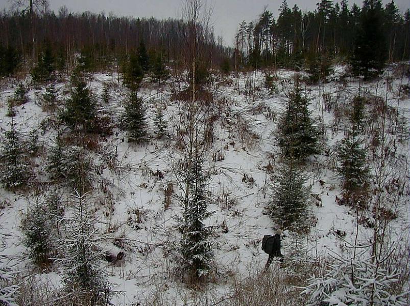 Selgise m�gedes 2005