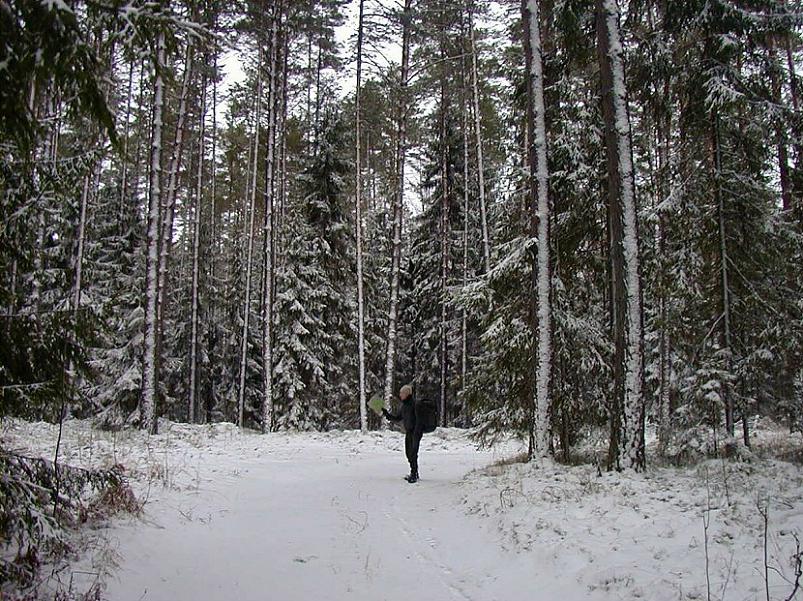 Selgise m�gedes 2005