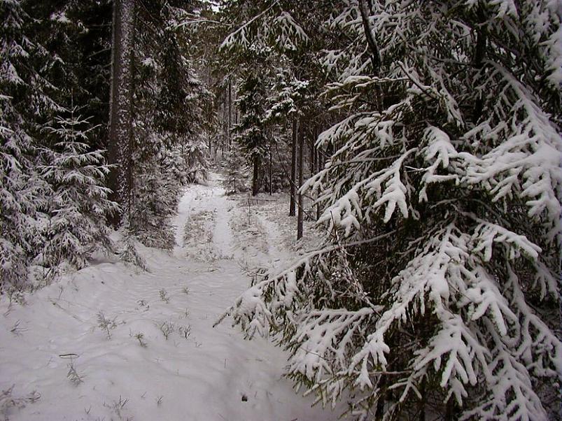 Selgise m�gedes 2005