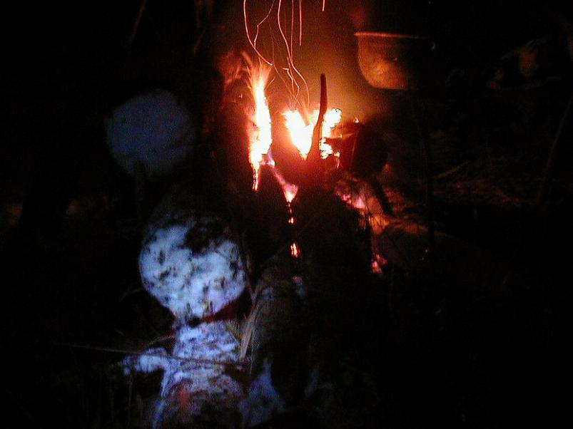 Selgise m�gedes 2005