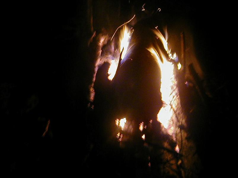 Selgise m�gedes 2005