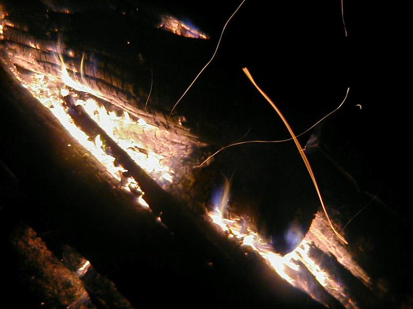 Selgise m�gedes 2005