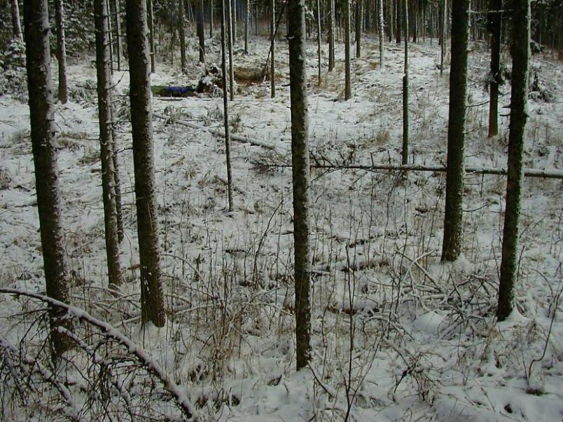 Selgise m�gedes 2005