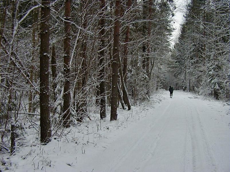 Selgise m�gedes 2005