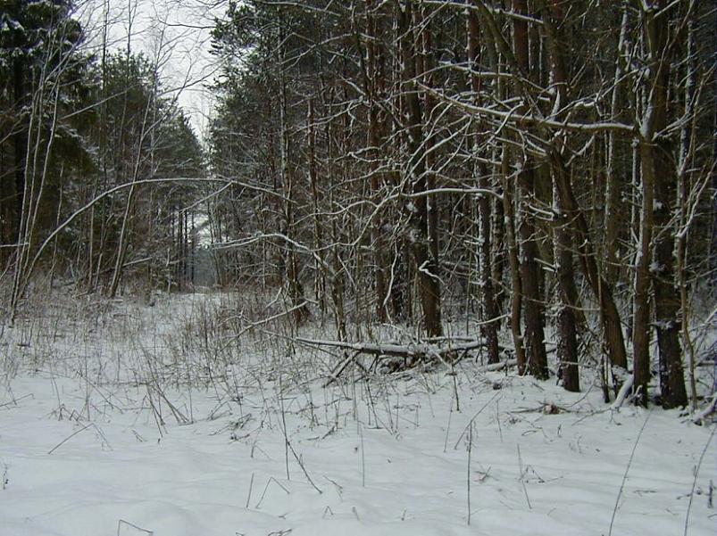 Selgise m�gedes 2005