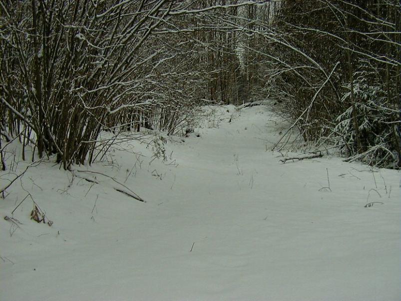 Selgise m�gedes 2005