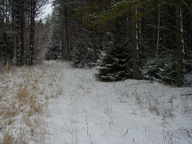 Selgise m�gedes 2005