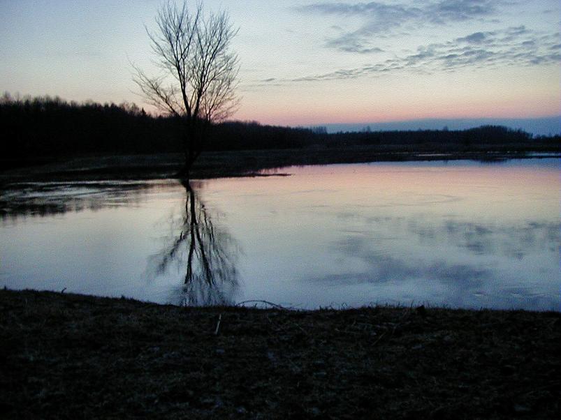 Pedja parveretk I, 2004