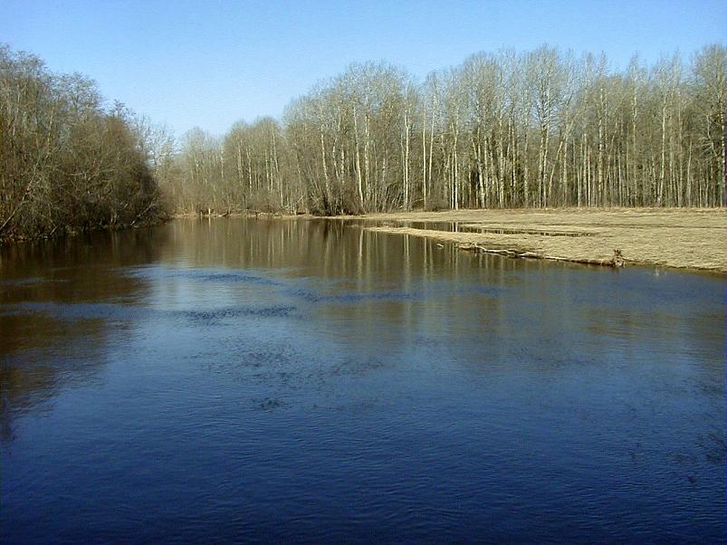 Pedja parveretk I, 2004