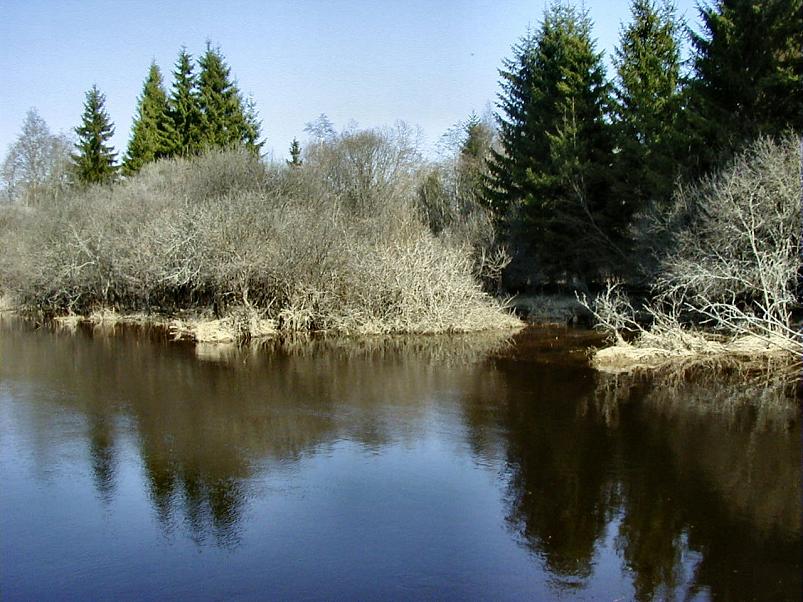 Pedja parveretk I, 2004