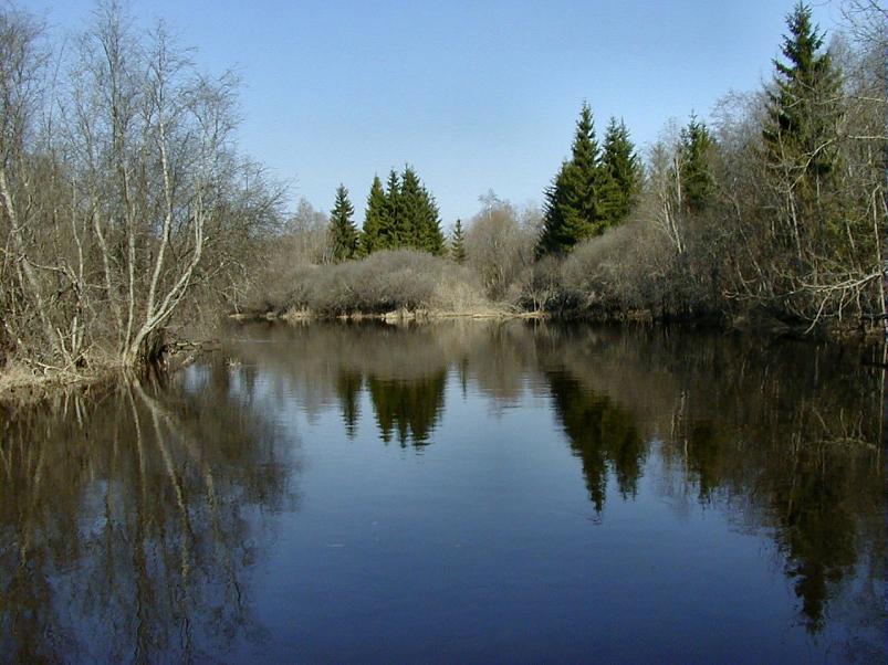 Pedja parveretk I, 2004