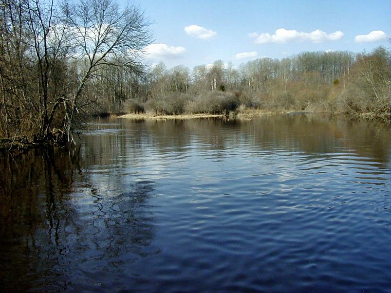 Pedja parveretk I, 2004