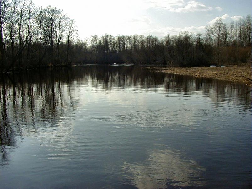 Pedja parveretk I, 2004