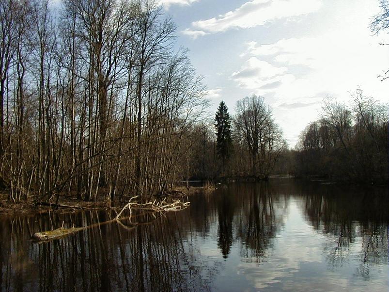 Pedja parveretk I, 2004