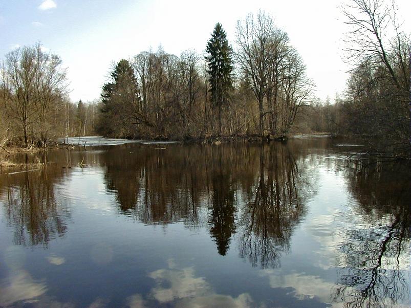 Pedja parveretk I, 2004