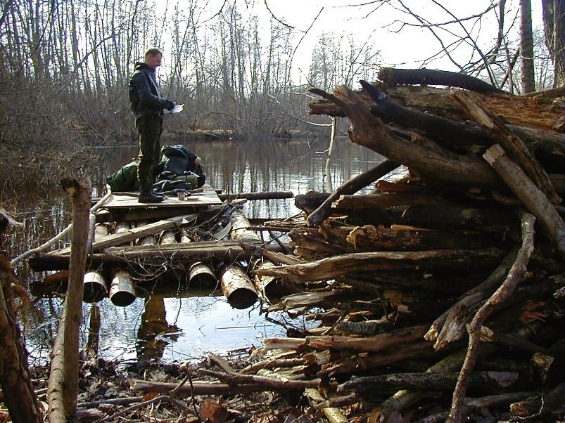 Pedja parveretk I, 2004