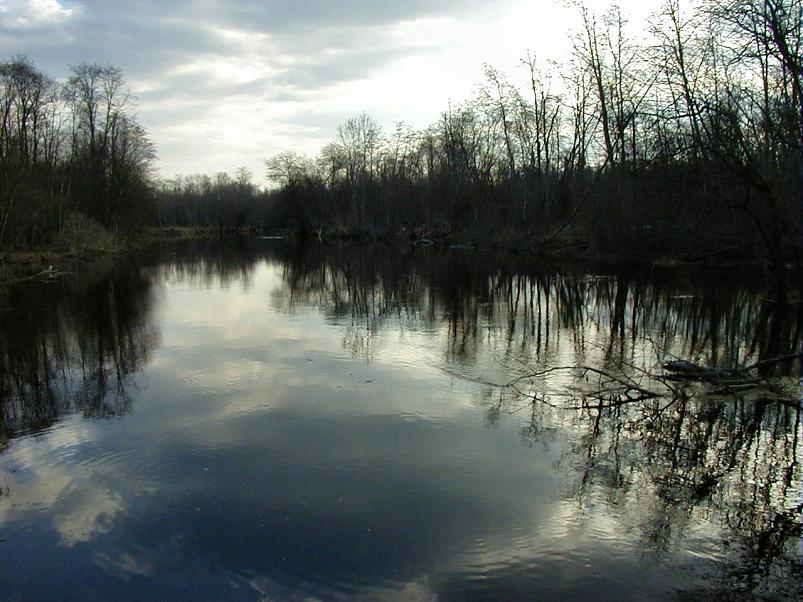 Pedja parveretk I, 2004