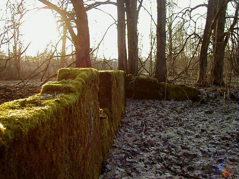 Pedja parveretk I, 2004