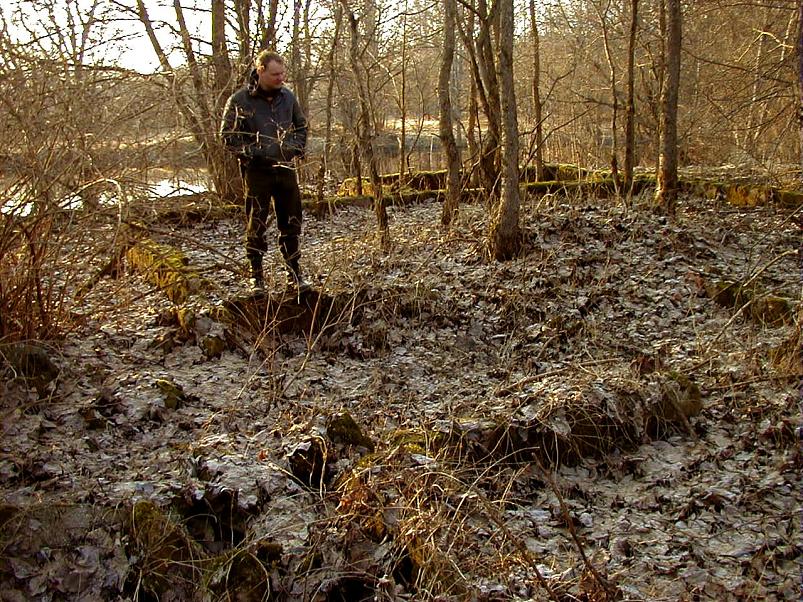 Pedja parveretk I, 2004