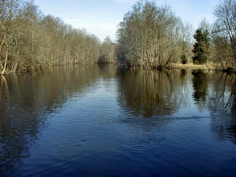 Pedja parveretk I, 2004