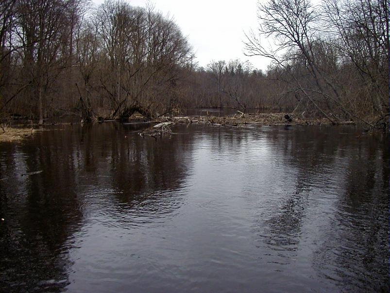 Pedja parveretk I, 2004