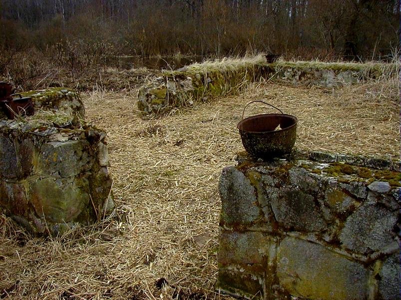 Pedja parveretk I, 2004