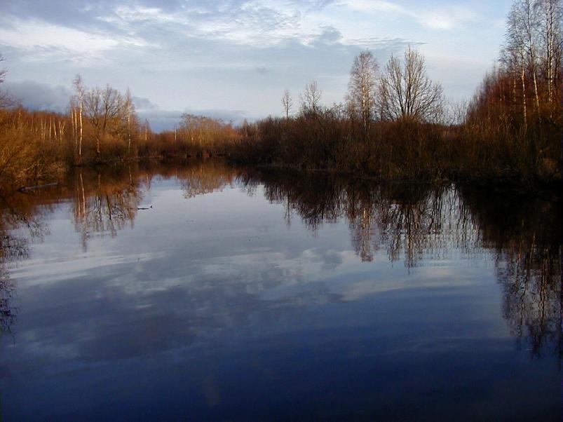 Pedja parveretk I, 2004