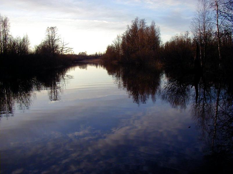 Pedja parveretk I, 2004