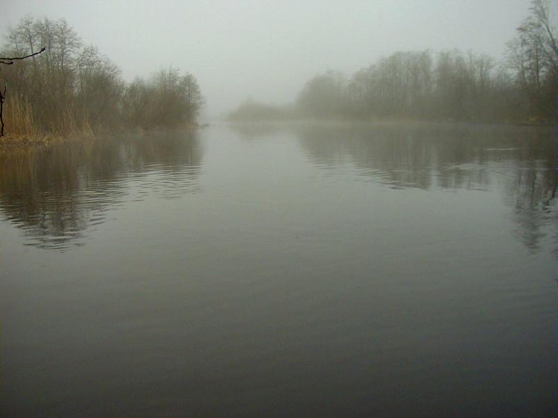 Pedja parveretk I, 2004