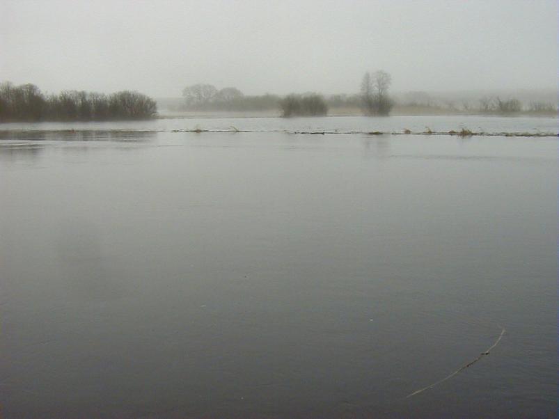 Pedja parveretk I, 2004