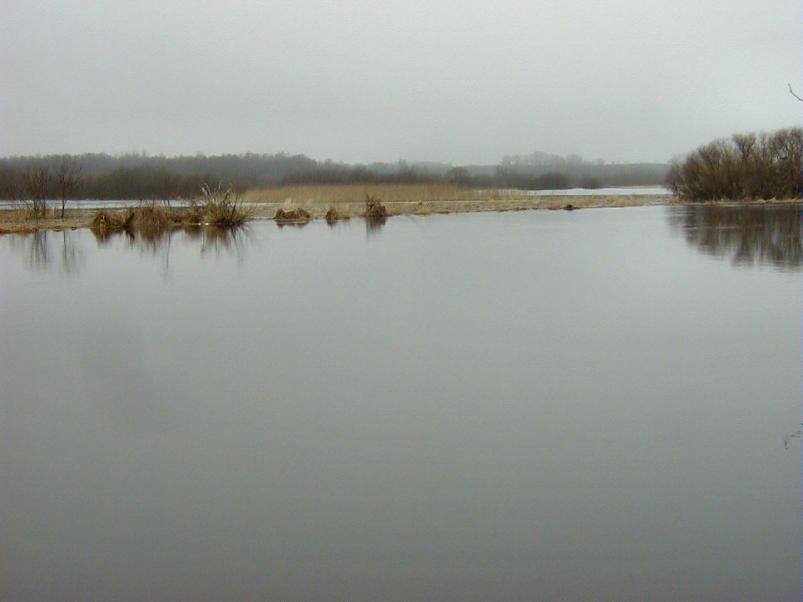 Pedja parveretk I, 2004