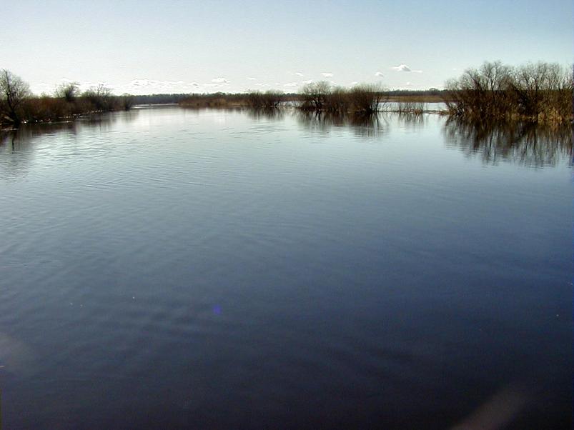 Pedja parveretk I, 2004