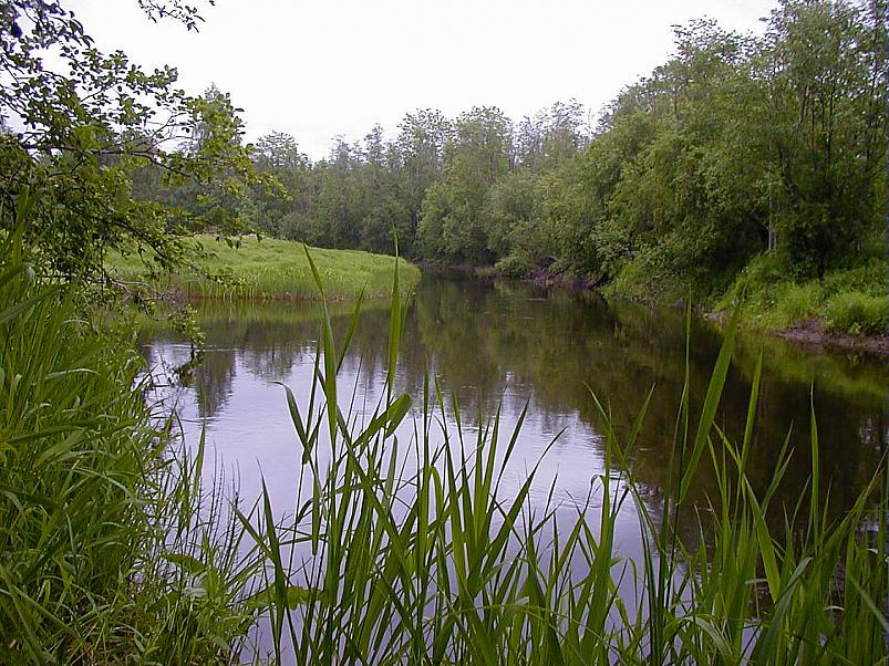 Jaanip�ev Pedjal 2004