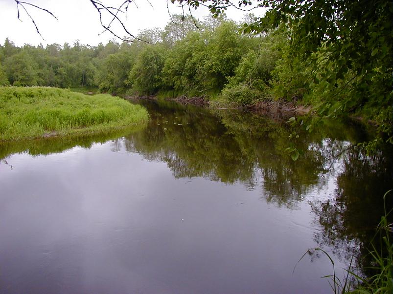 Jaanip�ev Pedjal 2004