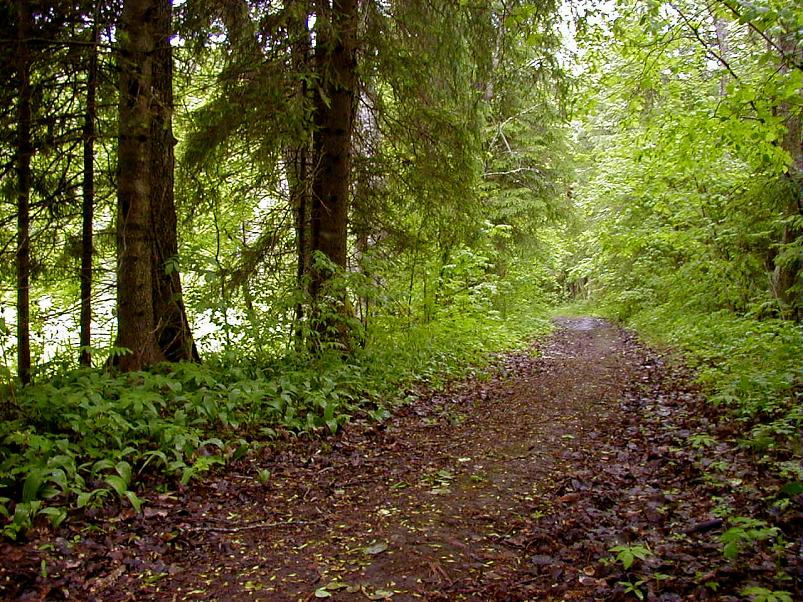 Jaanip�ev Pedjal 2004