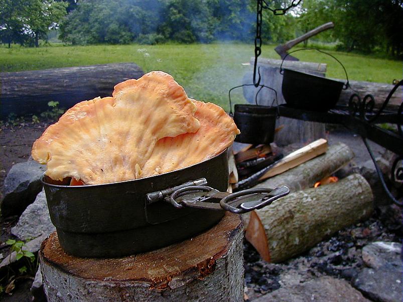 Jaanip�ev Pedjal 2004