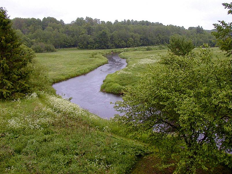 Jaanip�ev Pedjal 2004