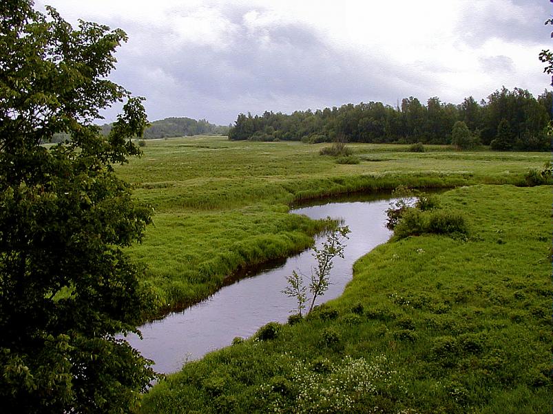 Jaanip�ev Pedjal 2004