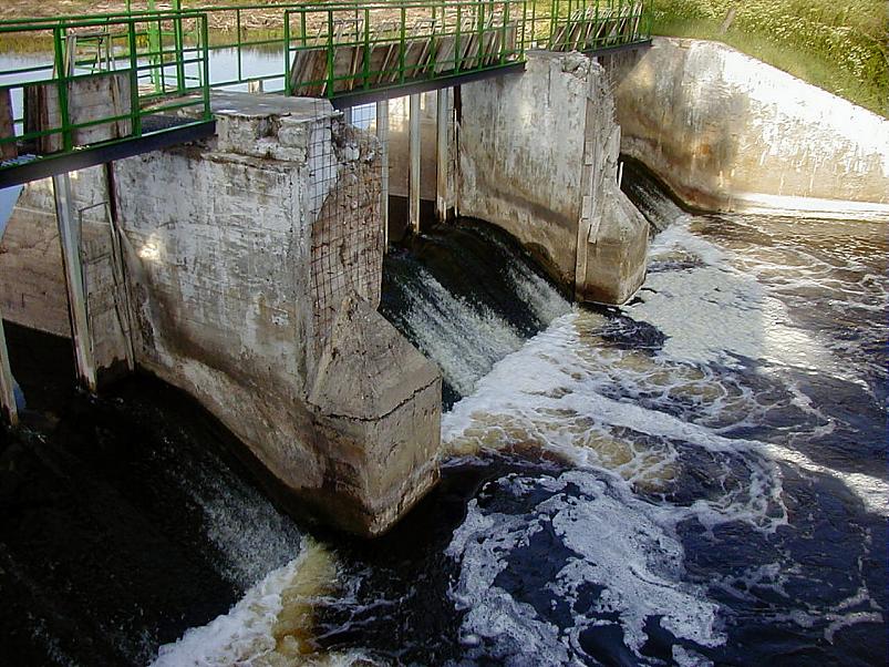 Jaanip�ev Pedjal 2004