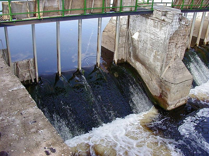 Jaanip�ev Pedjal 2004