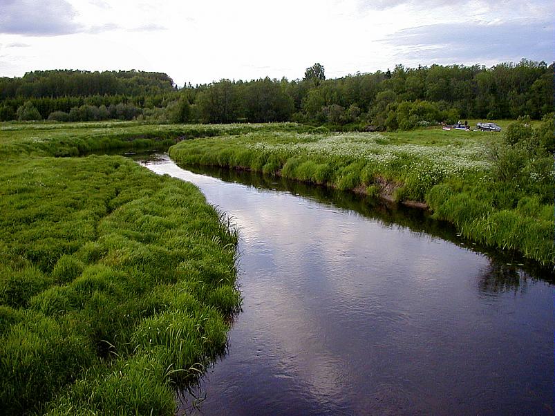 Jaanip�ev Pedjal 2004