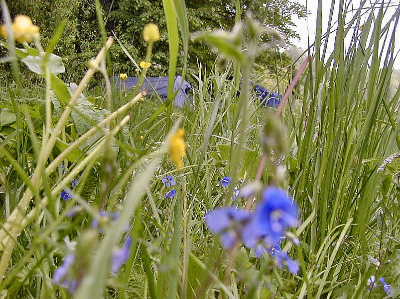 Jaanip�ev Pedjal 2004