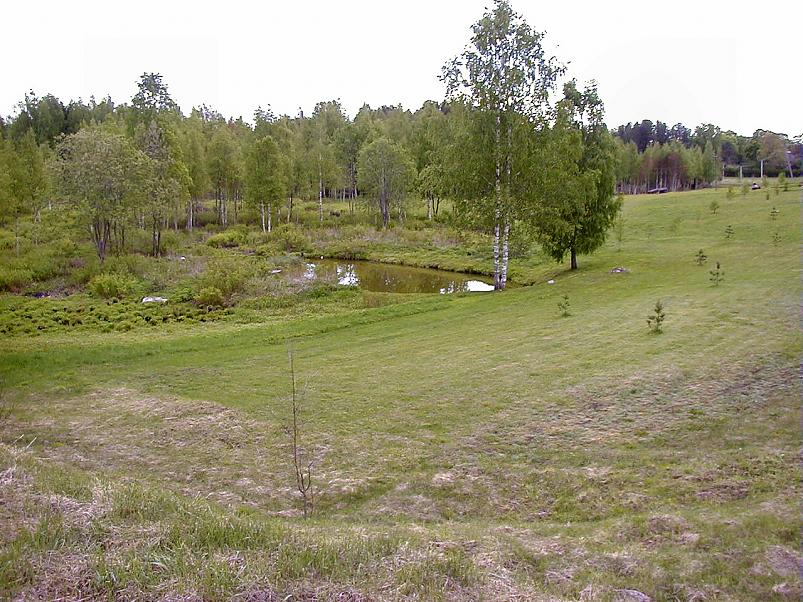 K��pa j�el mais 2004