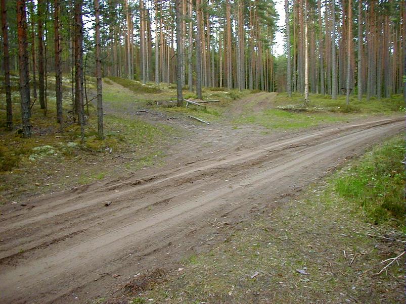 K��pa j�el mais 2004