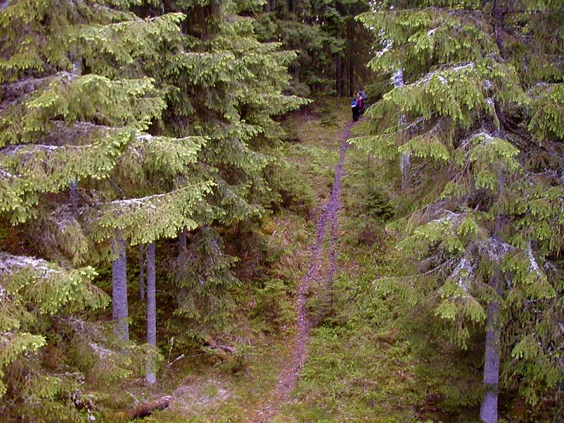 K��pa j�el mais 2004